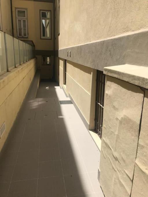 Torrinha'S Backyard Apartment Порто Екстериор снимка